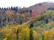 Landschaft bei Artvin